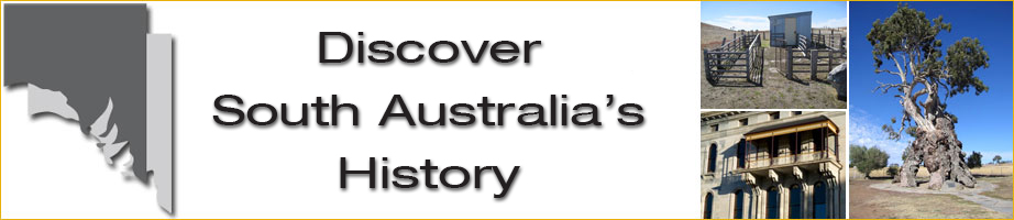Discover SA History